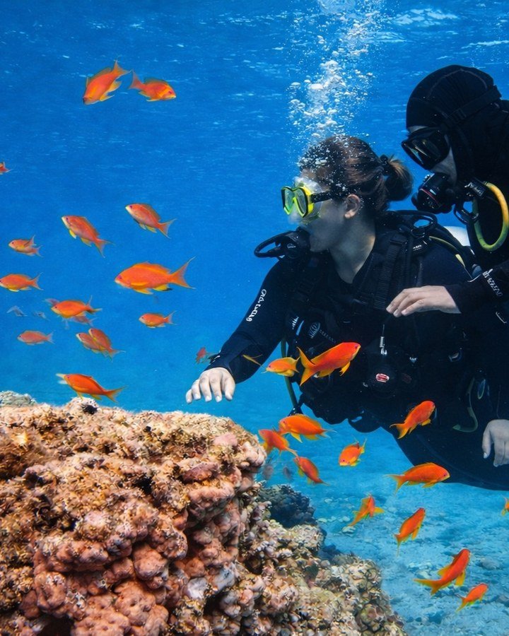 A masked diver taking part in a Cocoral underwater experience.