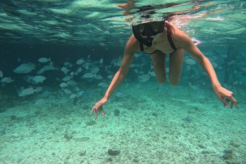 A snorkeller observing small reef fish in clear water near Arasatu.